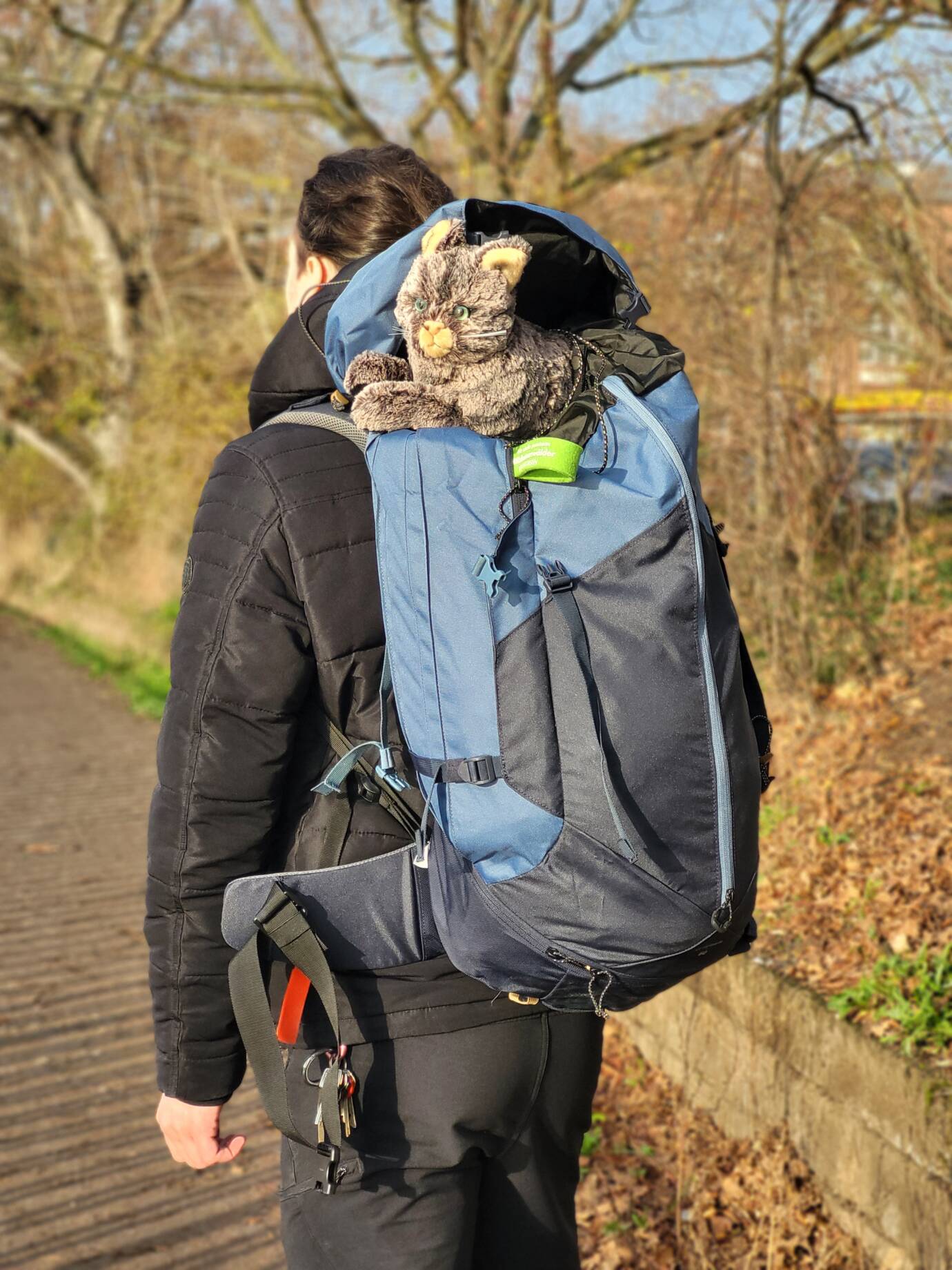 Person mit blauem Rucksack und Stofftier