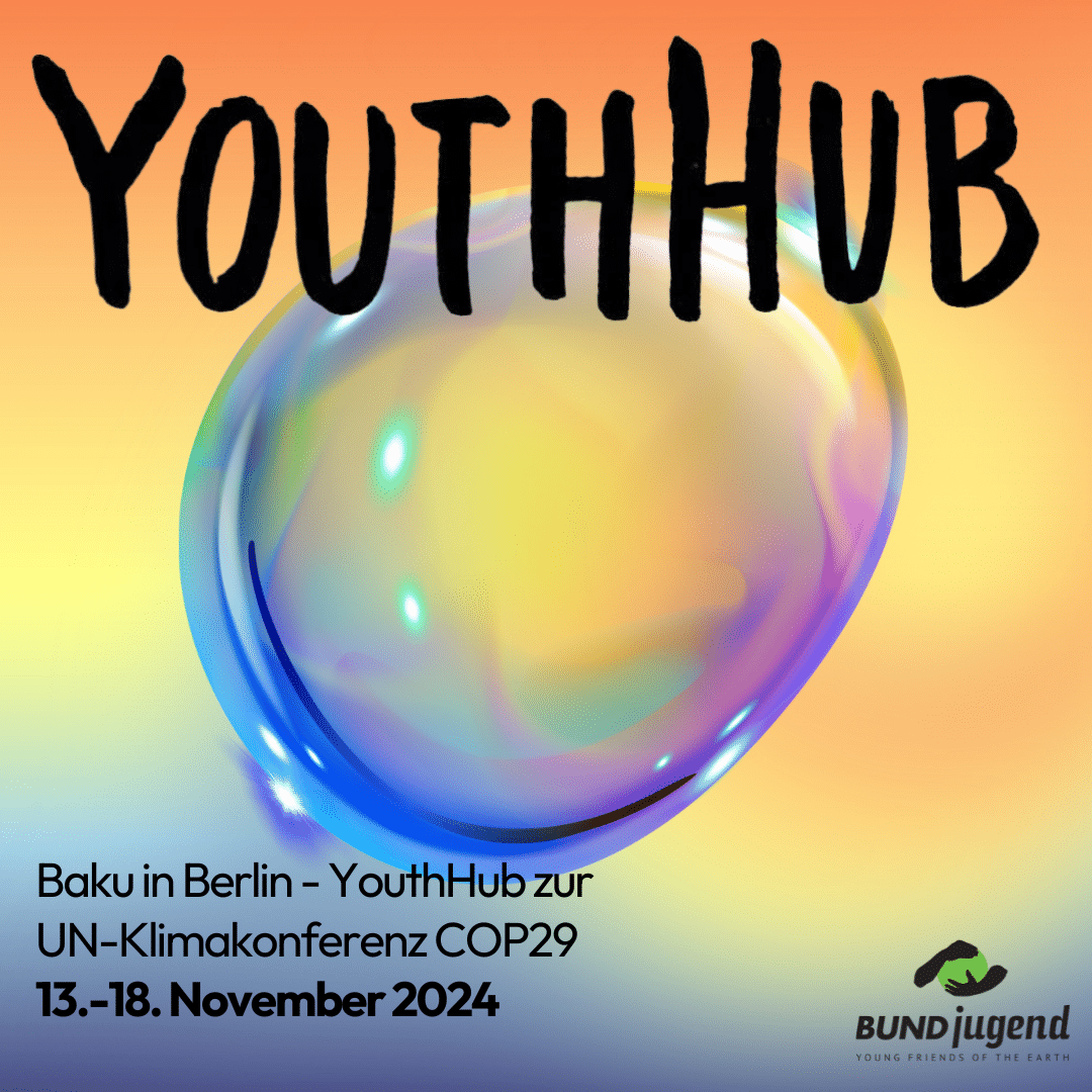 YouthHub zur COP29 in Berlin 2024