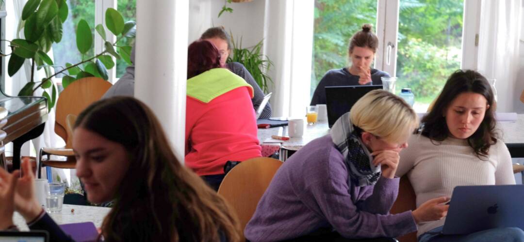 Mehrere Personen arbeiten an Laptops.